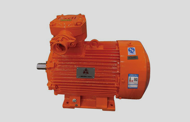 低壓煤礦井下用隔爆型三相異步電動機(jī)